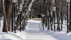 Карту для отслеживания техники на расчистке дорог разработали на Сахалине 
