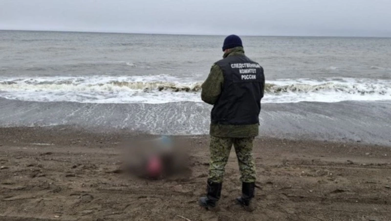 Труп мужчины выбросило на берег залива Терпения в Поронайском районе