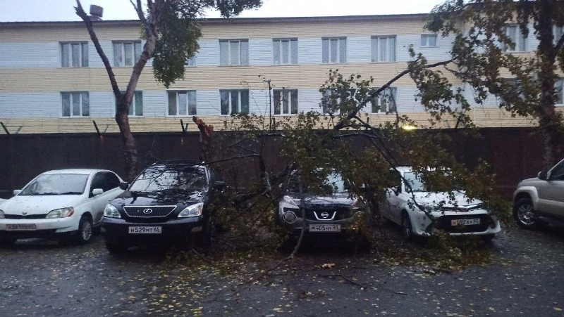 Автомобили на парковках в Южно-Сахалинске завалило деревьями и ветками