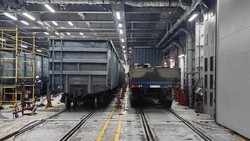 Паром «Александр Деев» привез вагоны с продуктами и стройматериалами на Сахалин