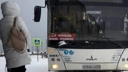 Перевозчика накажут: в Углегорском районе ребенка чуть не высадили из автобуса