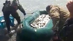«Быстро и эффективно»: рыбаки Сахалина голыми руками наловили целые лодки селедки 