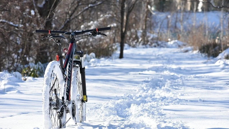Сахалин обогнал Москву по "зеленому" транспорту. Вишневский поведал, как следят за велосипедистами
