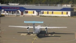 Опасность грозит самолетам на севере Сахалина из-за свалки