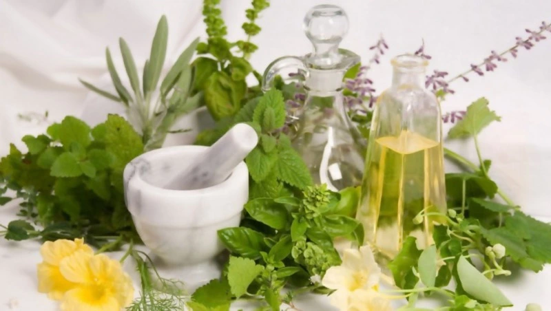 Опрос ВЦИОМ: более 70% россиян обращались при лечении к народным средствам