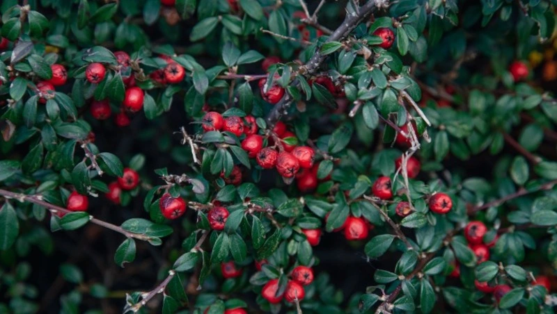 Приметы обо всем на 13 сентября 2023 года: что можно и нельзя делать в этот день