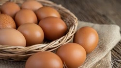 В период Пасхи Сахалинскую область обеспечат яйцами более чем на 70% 