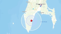 Землетрясение магнитудой 3,0 зарегистрировали на юге Сахалина