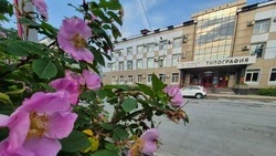 В Южно-Сахалинске потеплеет до +23 градусов 16 июня