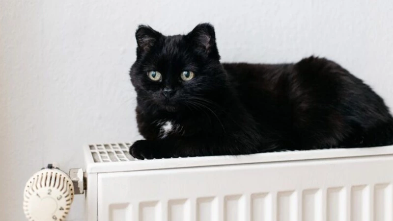 Детский сад и три дома в Южно-Сахалинске остались без отопления и горячей воды 12 января