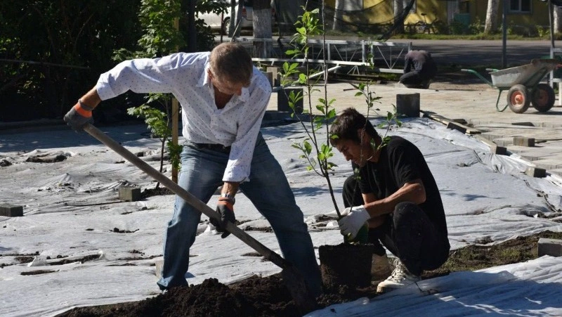 В Углегорске новый сквер обретает облик