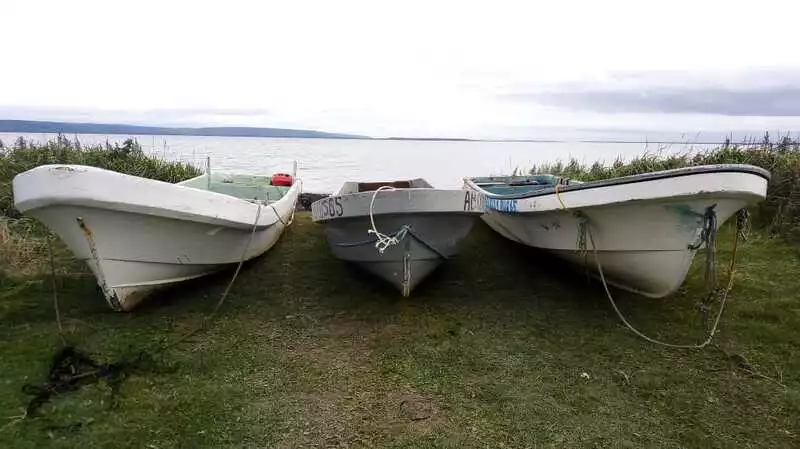 Сахалинцы незаконно добыли в охраняемой зоне трепанга на 3 миллиона рублей