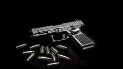 Сотрудники Росгвардии изъяли у сахалинцев 11 единиц оружия за неделю