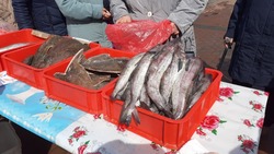 Свежую треску по 90 рублей за килограмм доставили в Южно-Курильск 20 октября 