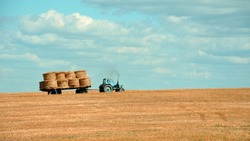 Мишустин объявил о старте помощи агробизнесу в расчетах по внешним контрактам