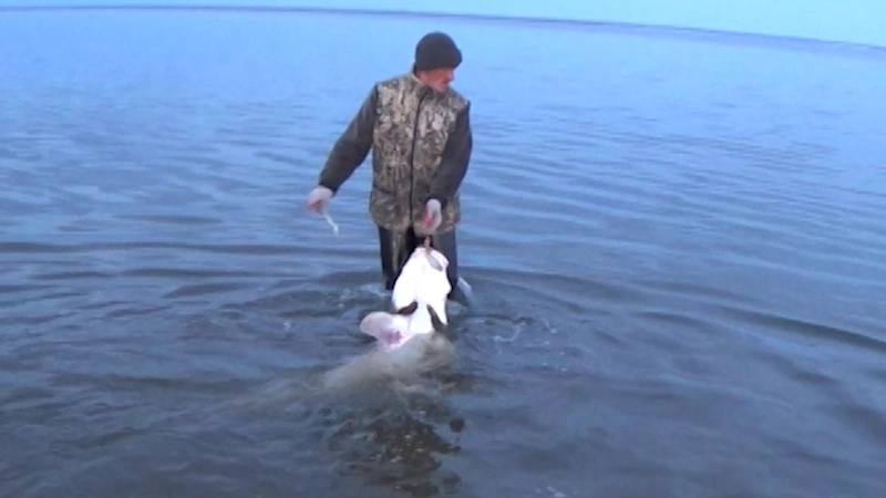 Философия защиты. Выпуск от 16 декабря