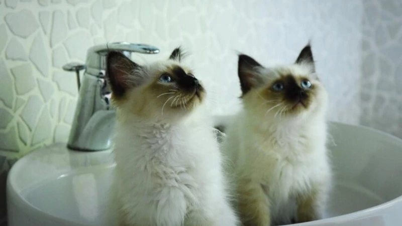 Сотни жителей Южно-Сахалинска останутся без тепла и воды 17 октября