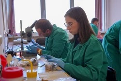 Ученые СахГУ выяснят влияние отечественных кормов на молодь лососей