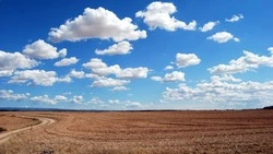 Пятеро российских губернаторов уволились после 9 мая