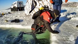 День водолаза 2025: история праздника, как отмечают