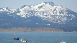 Немецкий журналист заявил, что Россия окончательно закрыла вопрос Курил в споре с Японией