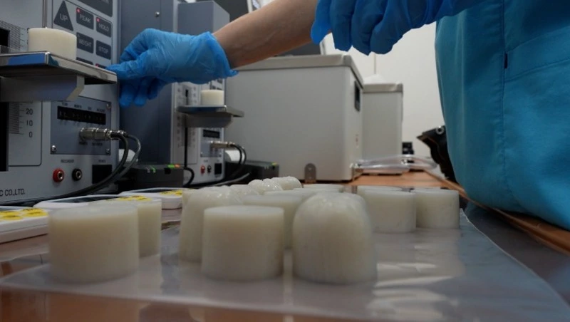 Плавучий цех на Сахалине производит сурими в открытом море