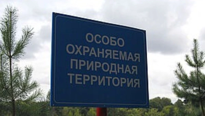 Природные заказники на Сахалине запретят посещать на 4 месяца в период отела оленей