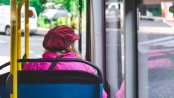 Карту новых остановок в Южно-Сахалинске опубликовал Вишневский