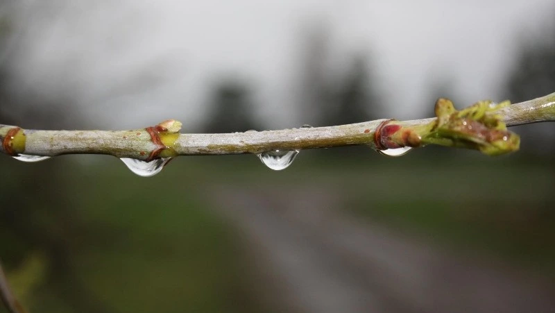 Церковный праздник 13 марта 2025: что нельзя делать в этот день, приметы