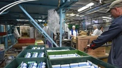 «Единая Россия» запустила проект по импортозамещению «Выбирай свое»