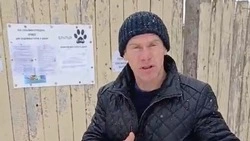 Отловщики «Братья Гав» в Холмске отстрелили собаку-поводыря и не отдают хозяевам 