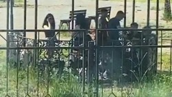 Подростки обматерили жительницу Поронайска в сквере Любви