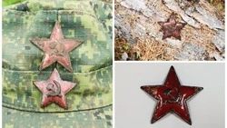 Редкую находку из Смирныховского района показали сахалинские поисковики