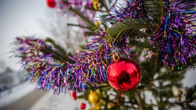 Сегодня в Южно-Сахалинске открылись елочные базары