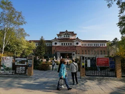 От рыбьей кожи до микросхем: краеведческий музей присоединился к акции «Ночь музеев»