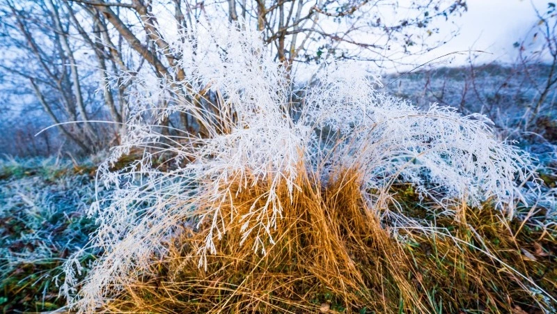 Церковный праздник 20 ноября 2024: что нельзя делать в этот день, приметы
