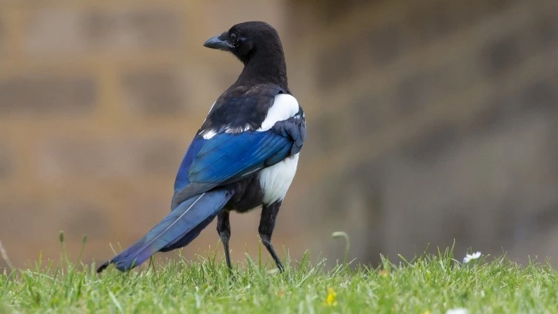 Церковный праздник 22 марта 2025: что нельзя делать в этот день, приметы