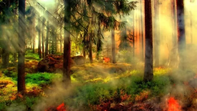 Сахалинская авиабаза остановила лесной пожар в Смирныховском районе