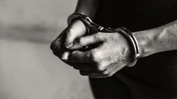 Сахалинские полицейские задержали закладчика, который организовал 26 тайников