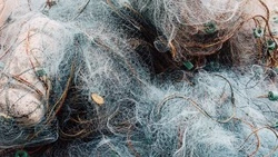 Промысел гольцов стартует на Сахалине с 1 апреля