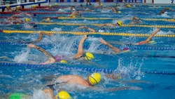 Старты легендарного турнира по плаванию «Кубок чемпионов» пройдут на Сахалине 24-31 августа