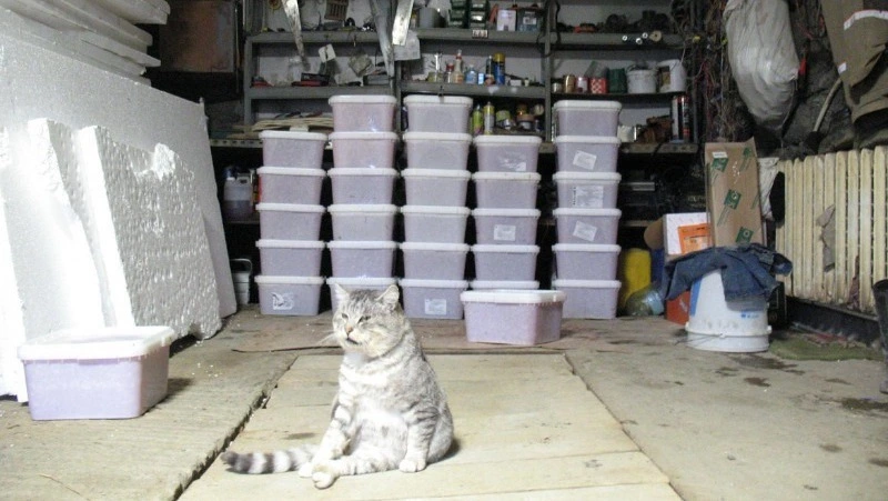 Полицейские задержали подозреваемых в хищении 40 контейнеров красной икры на Сахалине