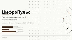 Бесплатный сервис «ЦифроПульс» для оценки цифровизации бизнеса запустили на Сахалине