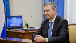 Надсадин: На Сахалине отходы перспективнее сжигать