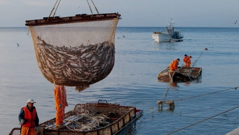 Результаты не впечатляют