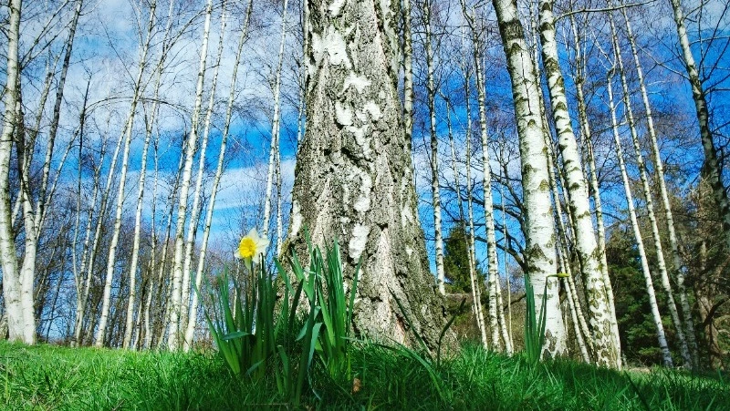 Церковный праздник 15 июля 2024: что нельзя делать в этот день, приметы