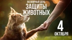 Всемирный день защиты животных 2024: картинки и открытки к празднику