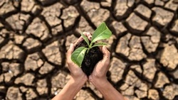 ДОМ.РФ запустил первый структурированный климатический проект на Сахалине