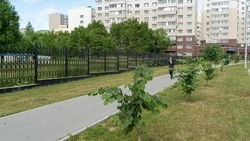 Ко Дню города в Южно-Сахалинске откроют аллею Счастливого материнства 