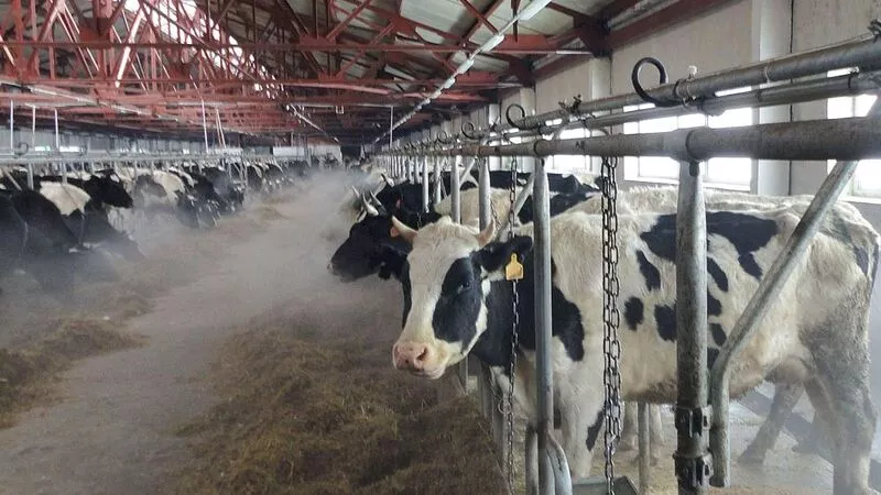 Рациональное зерно на благодатную почву